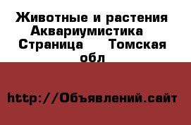 Животные и растения Аквариумистика - Страница 2 . Томская обл.